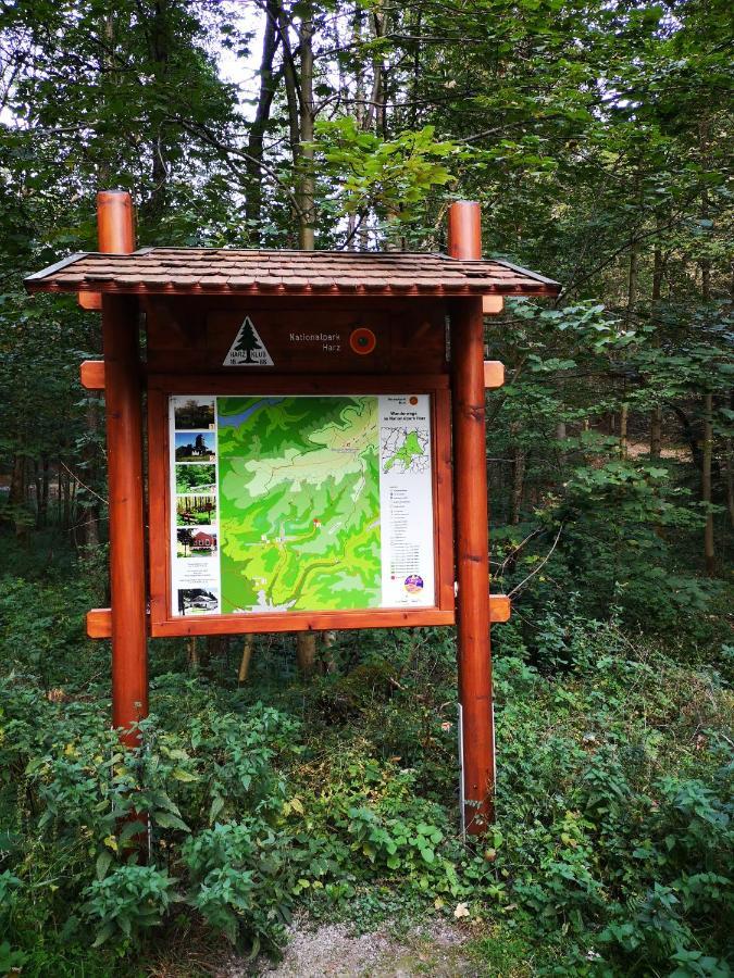 Haus Hirtenbergblick Lonau Kültér fotó