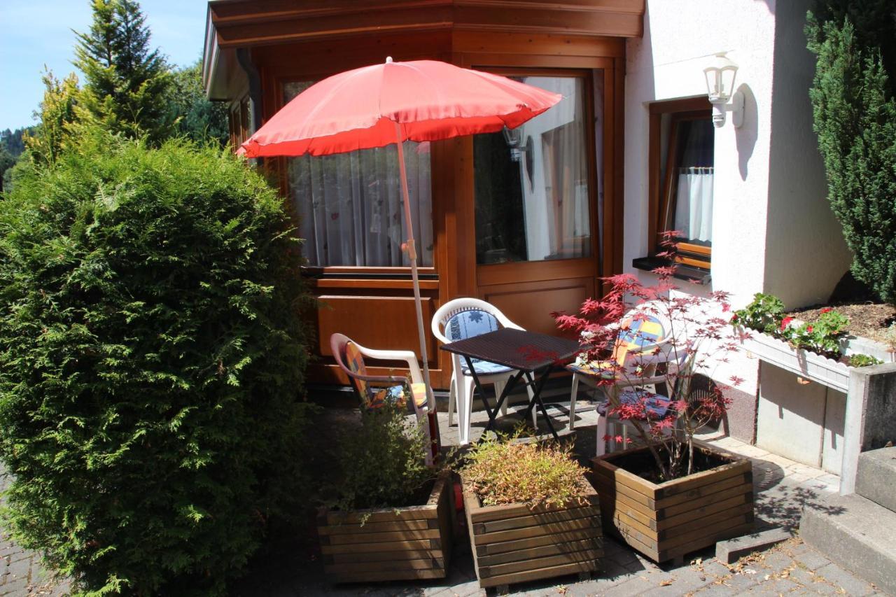 Haus Hirtenbergblick Lonau Kültér fotó