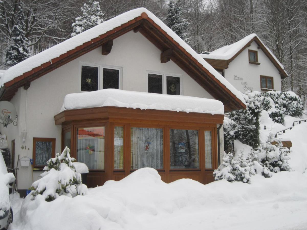 Haus Hirtenbergblick Lonau Kültér fotó