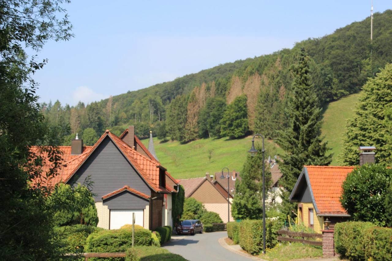 Haus Hirtenbergblick Lonau Kültér fotó