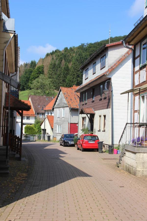 Haus Hirtenbergblick Lonau Kültér fotó