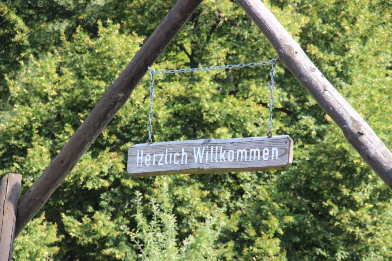 Haus Hirtenbergblick Lonau Kültér fotó