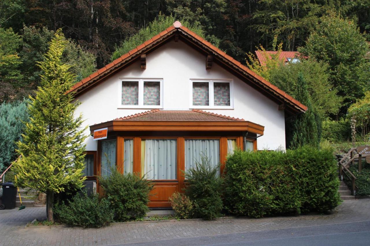 Haus Hirtenbergblick Lonau Kültér fotó