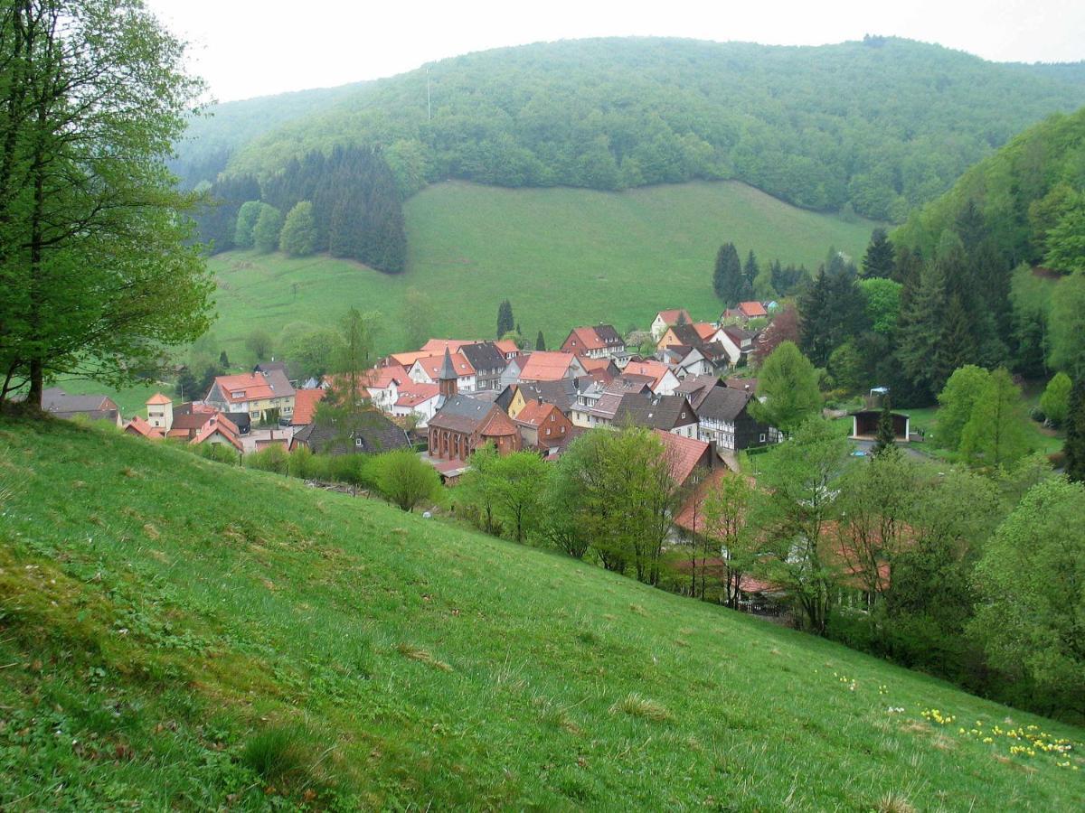 Haus Hirtenbergblick Lonau Kültér fotó