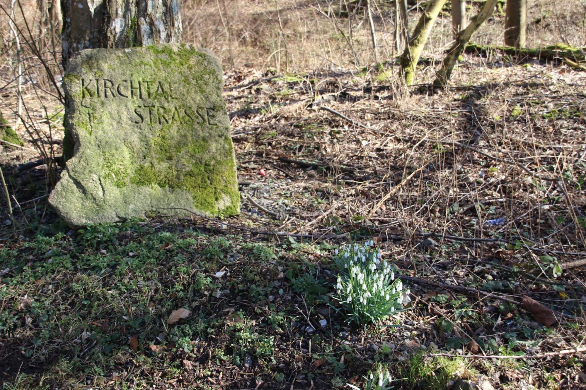 Haus Hirtenbergblick Lonau Kültér fotó